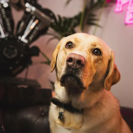 Apartmán Philson Saalbach-Hinterglemm